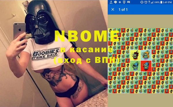 твердый Коряжма