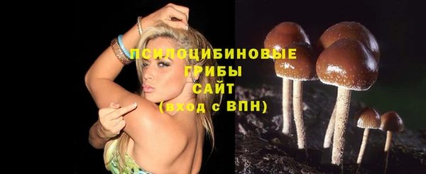 твердый Орск