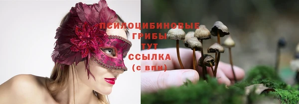 Альфа ПВП Краснослободск