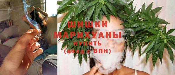 Альфа ПВП Краснослободск