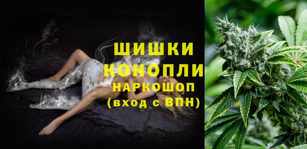 Альфа ПВП Краснослободск