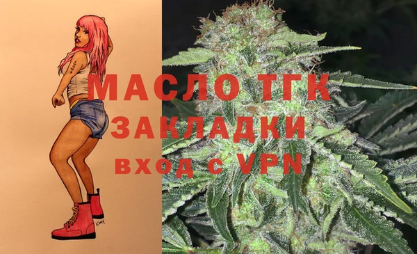 твердый Коряжма