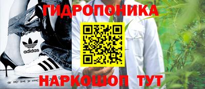 прущие крисы Аргун