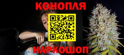 прущие крисы Аргун