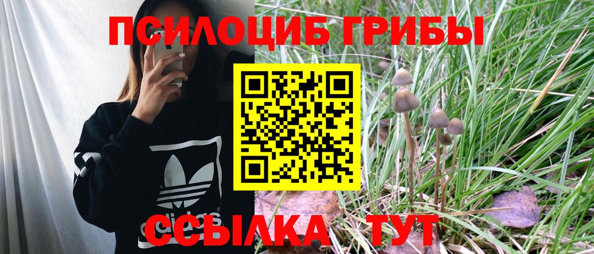 Псилоцибиновые грибы мицелий  Ханты-Мансийск  Псилоцибиновые грибы мухоморы 