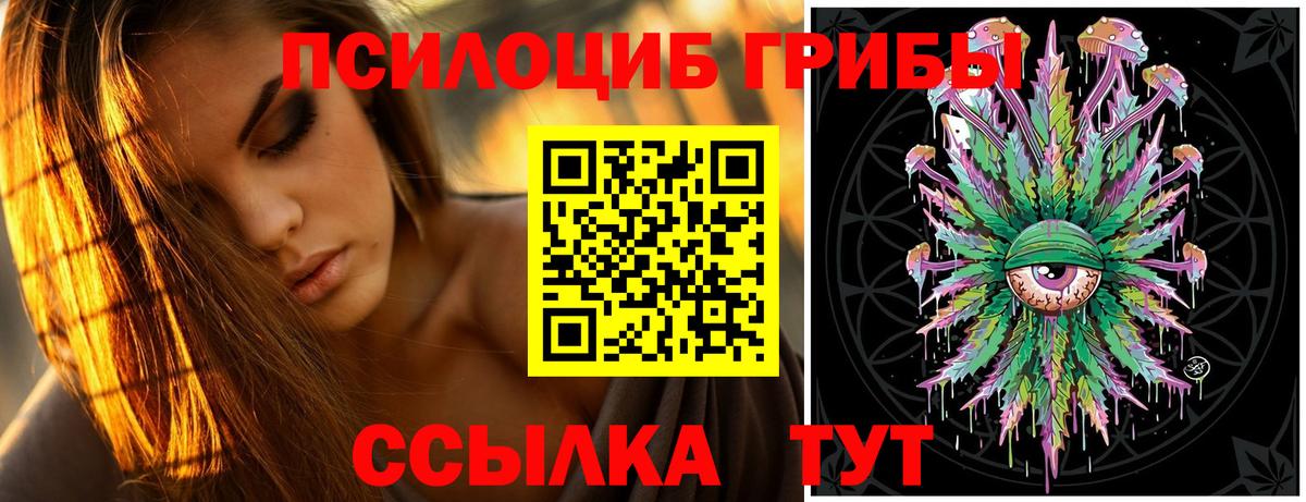 Псилоцибиновые грибы Psilocybine cubensis Ханты-Мансийск